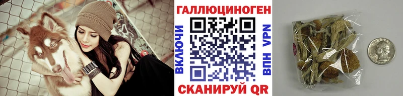 Галлюциногенные грибы Psilocybe  Нижний Тагил 