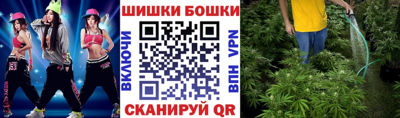 купить наркотики цена  Нижний Тагил  МАРИХУАНА планчик 